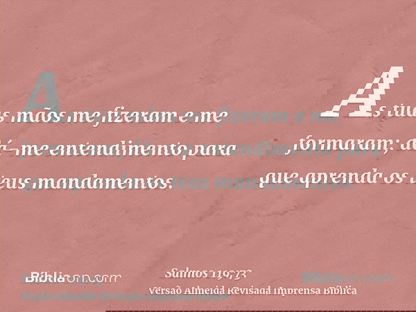 As tuas mãos me fizeram e me formaram; dá-me entendimento para que aprenda os teus mandamentos.
