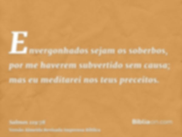 Envergonhados sejam os soberbos, por me haverem subvertido sem causa; mas eu meditarei nos teus preceitos.