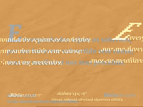 Envergonhados sejam os soberbos, por me haverem subvertido sem causa; mas eu meditarei nos teus preceitos.