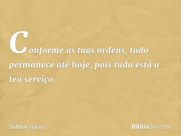 Conforme as tuas ordens,
tudo permanece até hoje,
pois tudo está a teu serviço. -- Salmo 119:91