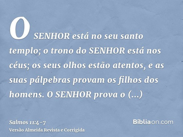 O SENHOR está no seu santo templo; o trono do SENHOR está nos céus; os seus olhos estão atentos, e as suas pálpebras provam os filhos dos homens.O SENHOR prova 