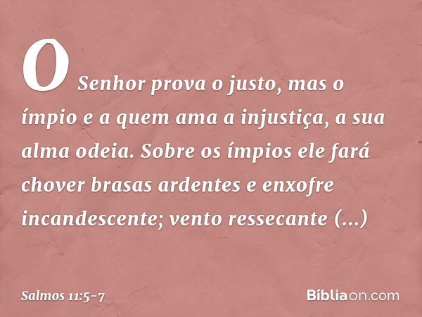 O Senhor prova o justo,
mas o ímpio e a quem ama a injustiça,
a sua alma odeia. Sobre os ímpios ele fará chover
brasas ardentes e enxofre incandescente;
vento r