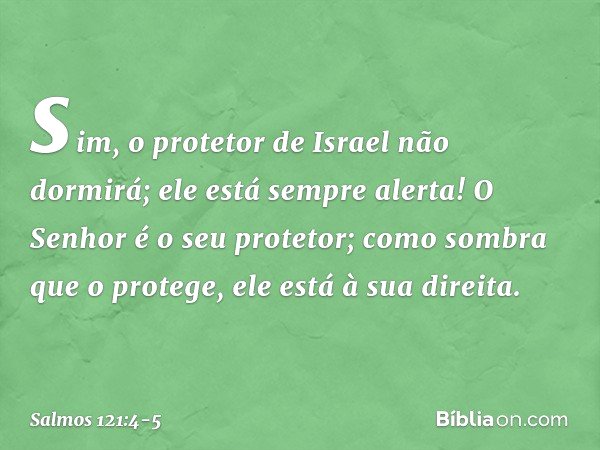 sim, o protetor de Israel não dormirá;
ele está sempre alerta! O Senhor é o seu protetor;
como sombra que o protege,
ele está à sua direita. -- Salmo 121:4-5
