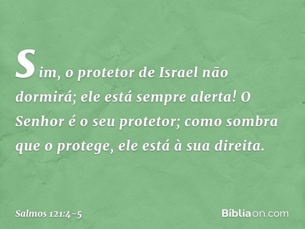 sim, o protetor de Israel não dormirá;
ele está sempre alerta! O Senhor é o seu protetor;
como sombra que o protege,
ele está à sua direita. -- Salmo 121:4-5