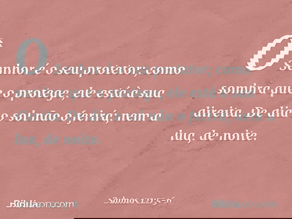 O Senhor é o seu protetor;
como sombra que o protege,
ele está à sua direita. De dia o sol não o ferirá;
nem a lua, de noite. -- Salmo 121:5-6