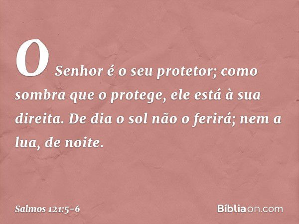 O Senhor é o seu protetor;
como sombra que o protege,
ele está à sua direita. De dia o sol não o ferirá;
nem a lua, de noite. -- Salmo 121:5-6