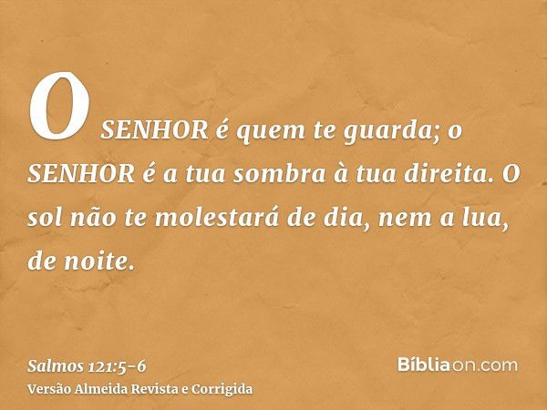 O SENHOR é quem te guarda; o SENHOR é a tua sombra à tua direita.O sol não te molestará de dia, nem a lua, de noite.