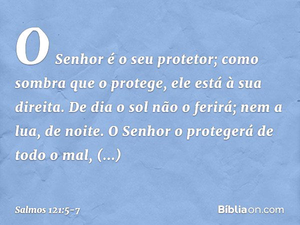 O Senhor é o seu protetor;
como sombra que o protege,
ele está à sua direita. De dia o sol não o ferirá;
nem a lua, de noite. O Senhor o protegerá de todo o mal