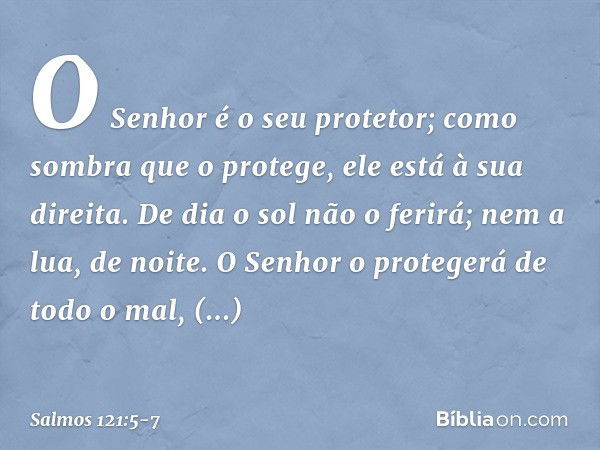 O Senhor é o seu protetor;
como sombra que o protege,
ele está à sua direita. De dia o sol não o ferirá;
nem a lua, de noite. O Senhor o protegerá de todo o mal