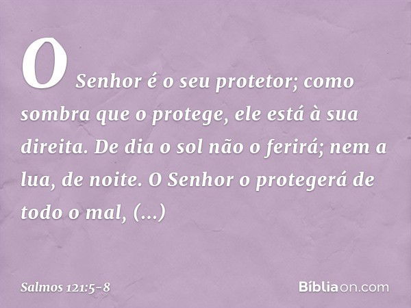 O Senhor é o seu protetor;
como sombra que o protege,
ele está à sua direita. De dia o sol não o ferirá;
nem a lua, de noite. O Senhor o protegerá de todo o mal