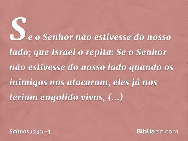 Se o Senhor não estivesse do nosso lado;
que Israel o repita: Se o Senhor não estivesse do nosso lado
quando os inimigos nos atacaram, eles já nos teriam engoli