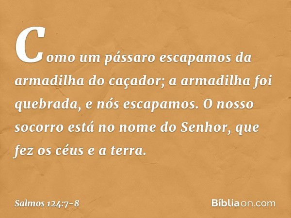 Como um pássaro escapamos
da armadilha do caçador;
a armadilha foi quebrada,
e nós escapamos. O nosso socorro está no nome do Senhor,
que fez os céus e a terra.