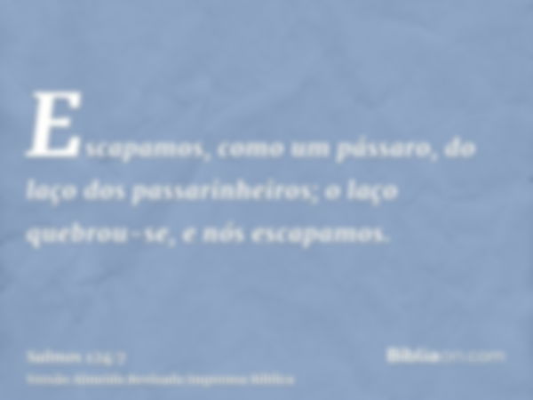 Escapamos, como um pássaro, do laço dos passarinheiros; o laço quebrou-se, e nós escapamos.