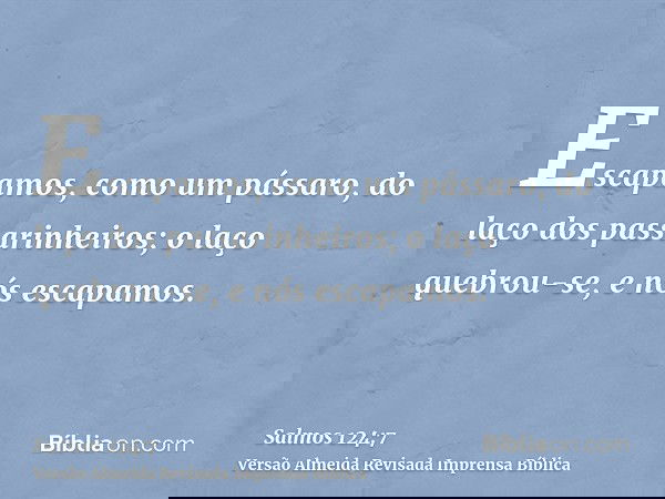 Escapamos, como um pássaro, do laço dos passarinheiros; o laço quebrou-se, e nós escapamos.