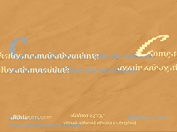 Como flechas na mão do valente, assim são os filhos da mocidade.
