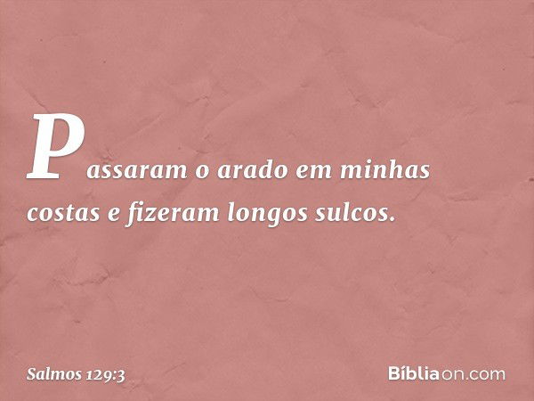 Passaram o arado em minhas costas
e fizeram longos sulcos. -- Salmo 129:3