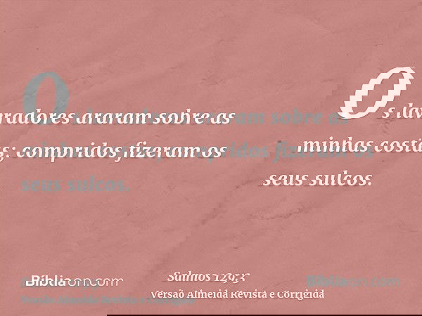 Os lavradores araram sobre as minhas costas; compridos fizeram os seus sulcos.