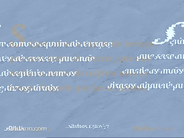 Sejam como o capim do terraço,
que seca antes de crescer, que não enche as mãos do ceifeiro
nem os braços daquele que faz os fardos. -- Salmo 129:6-7