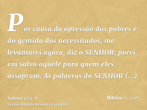 Por causa da opressão dos pobres e do gemido dos necessitados, me levantarei agora, diz o SENHOR; porei em salvo aquele para quem eles assopram.As palavras do S