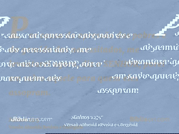 Por causa da opressão dos pobres e do gemido dos necessitados, me levantarei agora, diz o SENHOR; porei em salvo aquele para quem eles assopram.