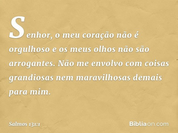 Senhor, o meu coração não é orgulhoso
e os meus olhos não são arrogantes.
Não me envolvo com coisas grandiosas
nem maravilhosas demais para mim. -- Salmo 131:1