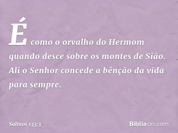 É como o orvalho do Hermom
quando desce sobre os montes de Sião.
Ali o Senhor concede a bênção
da vida para sempre. -- Salmo 133:3