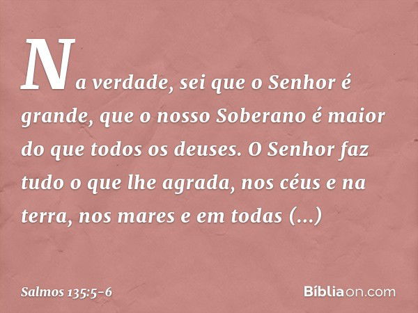 Na verdade, sei que o Senhor é grande,
que o nosso Soberano é maior
do que todos os deuses. O Senhor faz tudo o que lhe agrada,
nos céus e na terra,
nos mares e