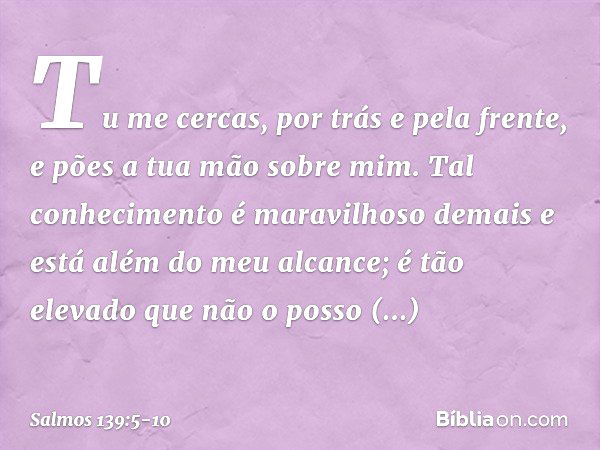 Tu me cercas, por trás e pela frente,
e pões a tua mão sobre mim. Tal conhecimento é maravilhoso demais
e está além do meu alcance;
é tão elevado que não o poss