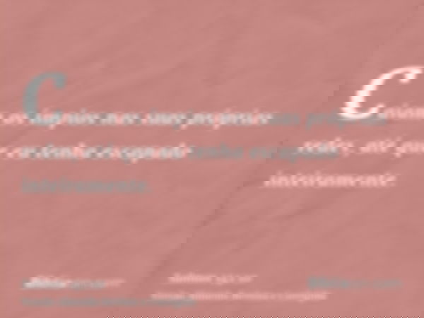 Caiam os ímpios nas suas próprias redes, até que eu tenha escapado inteiramente.
