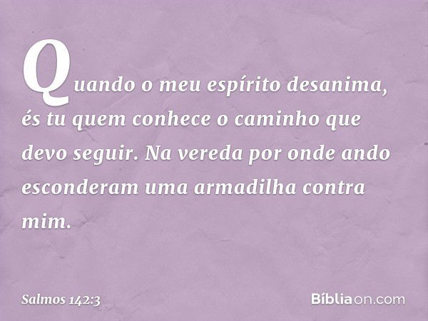 Quando o meu espírito desanima,
és tu quem conhece o caminho
que devo seguir.
Na vereda por onde ando
esconderam uma armadilha contra mim. -- Salmo 142:3