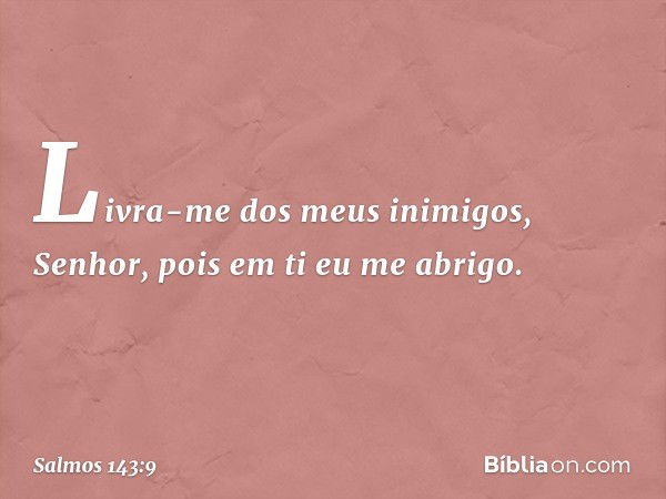 Livra-me dos meus inimigos, Senhor,
pois em ti eu me abrigo. -- Salmo 143:9