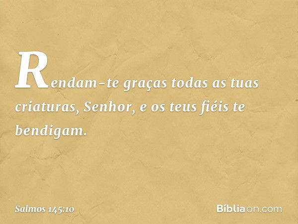 Rendam-te graças todas as tuas criaturas, Senhor,
e os teus fiéis te bendigam. -- Salmo 145:10