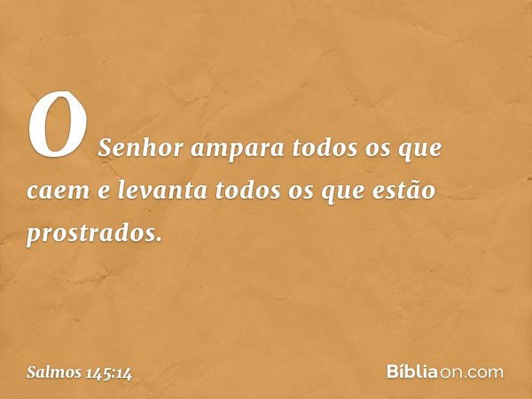 O Senhor ampara todos os que caem
e levanta todos os que estão prostrados. -- Salmo 145:14