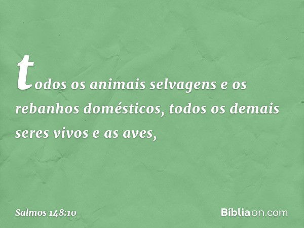 todos os animais selvagens
e os rebanhos domésticos,
todos os demais seres vivos e as aves, -- Salmo 148:10