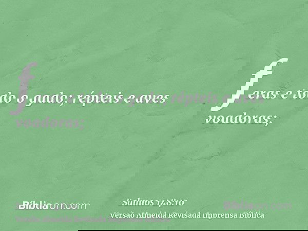 feras e todo o gado; répteis e aves voadoras;