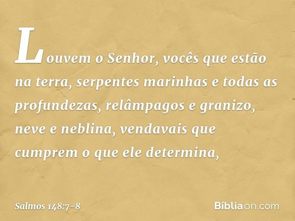 Louvem o Senhor, vocês que estão na terra,
serpentes marinhas e todas as profundezas, relâmpagos e granizo, neve e neblina,
vendavais que cumprem o que ele dete