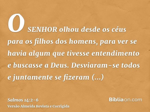 O SENHOR olhou desde os céus para os filhos dos homens, para ver se havia algum que tivesse entendimento e buscasse a Deus.Desviaram-se todos e juntamente se fi