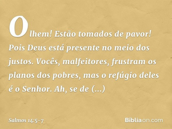 Olhem! Estão tomados de pavor!
Pois Deus está presente no meio dos justos. Vocês, malfeitores,
frustram os planos dos pobres,
mas o refúgio deles é o Senhor. Ah