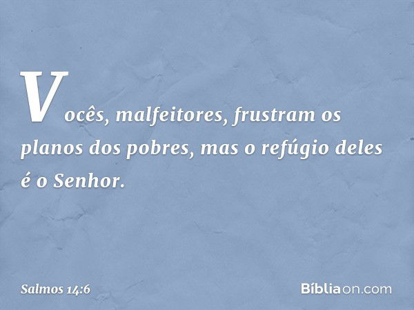 Vocês, malfeitores,
frustram os planos dos pobres,
mas o refúgio deles é o Senhor. -- Salmo 14:6