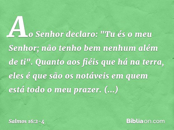 Ao Senhor declaro: "Tu és o meu Senhor;
não tenho bem nenhum além de ti". Quanto aos fiéis que há na terra,
eles é que são os notáveis
em quem está todo o meu p