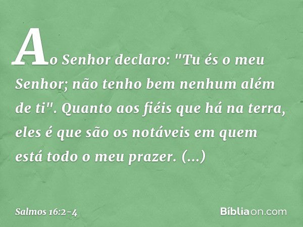 Ao Senhor declaro: "Tu és o meu Senhor;
não tenho bem nenhum além de ti". Quanto aos fiéis que há na terra,
eles é que são os notáveis
em quem está todo o meu p