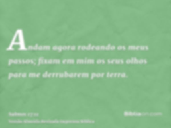 Andam agora rodeando os meus passos; fixam em mim os seus olhos para me derrubarem por terra.