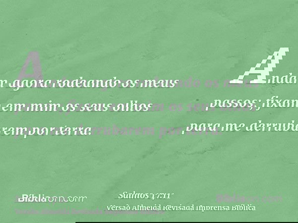 Andam agora rodeando os meus passos; fixam em mim os seus olhos para me derrubarem por terra.