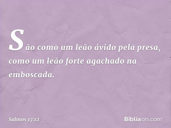 São como um leão ávido pela presa,
como um leão forte agachado na emboscada. -- Salmo 17:12