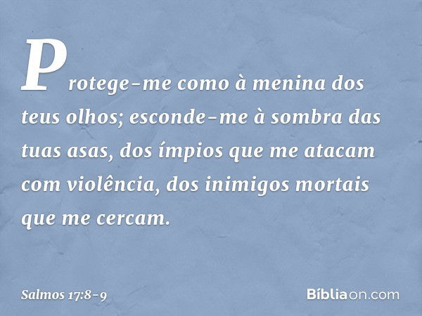 Protege-me como à menina dos teus olhos;
esconde-me à sombra das tuas asas, dos ímpios que me atacam com violência,
dos inimigos mortais que me cercam. -- Salmo