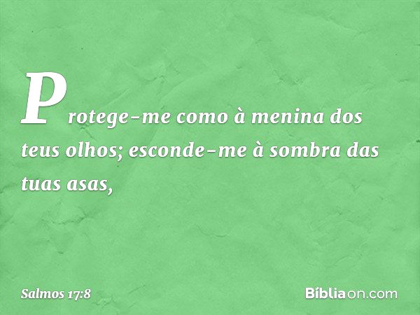 Protege-me como à menina dos teus olhos;
esconde-me à sombra das tuas asas, -- Salmo 17:8