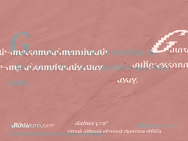 Guarda-me como à menina do olho; esconde-me, à sombra das tuas asas,