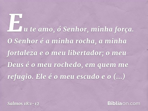 Eu te amo, ó Senhor, minha força. O Senhor é a minha rocha, a minha fortaleza
e o meu libertador;
o meu Deus é o meu rochedo,
em quem me refugio.
Ele é o meu es