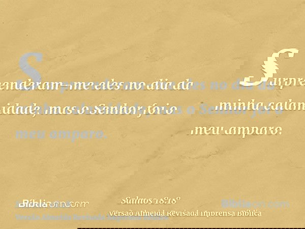 Surpreenderam-me eles no dia da minha calamidade, mas o Senhor foi o meu amparo.