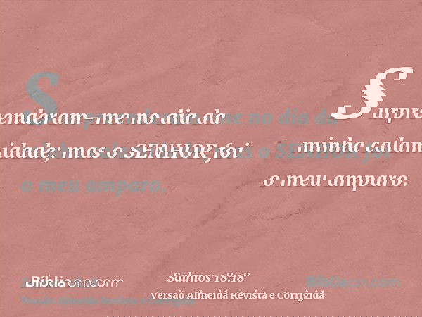 Surpreenderam-me no dia da minha calamidade; mas o SENHOR foi o meu amparo.